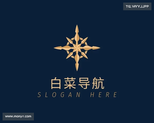 关于白菜导航